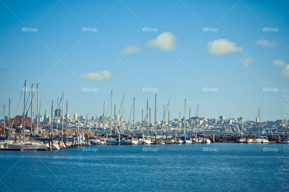 The Marina and San Francisco