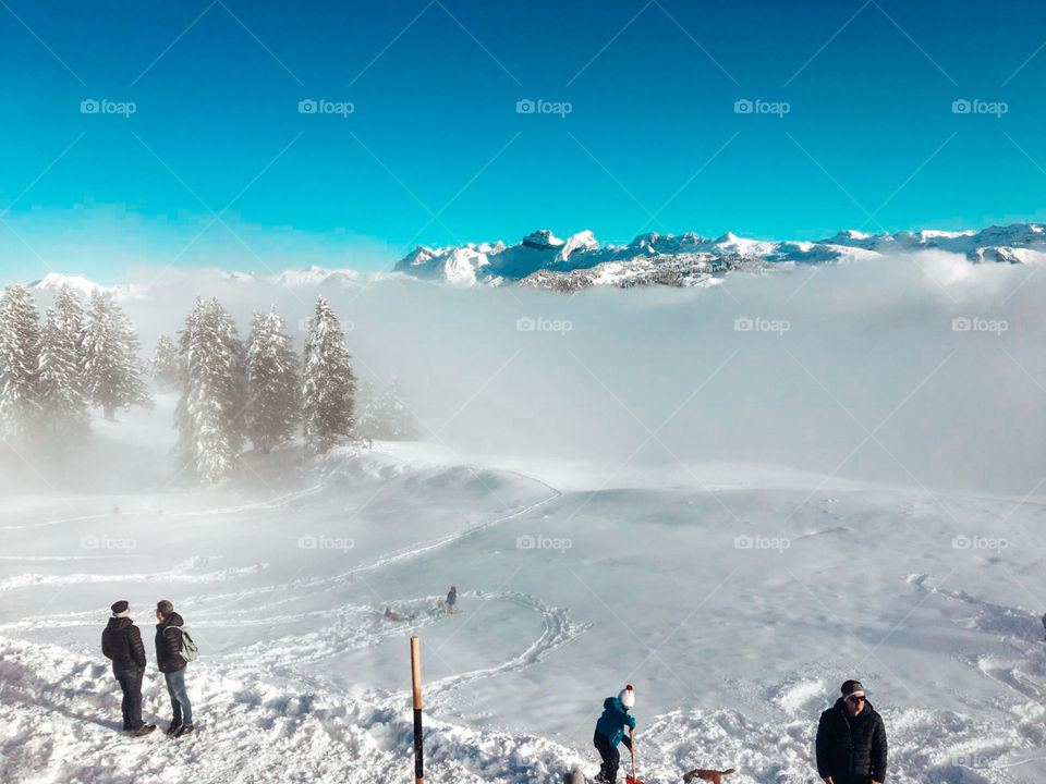 Snow covered trees . winter season. winter holiday. some people are watching the winter scene . 