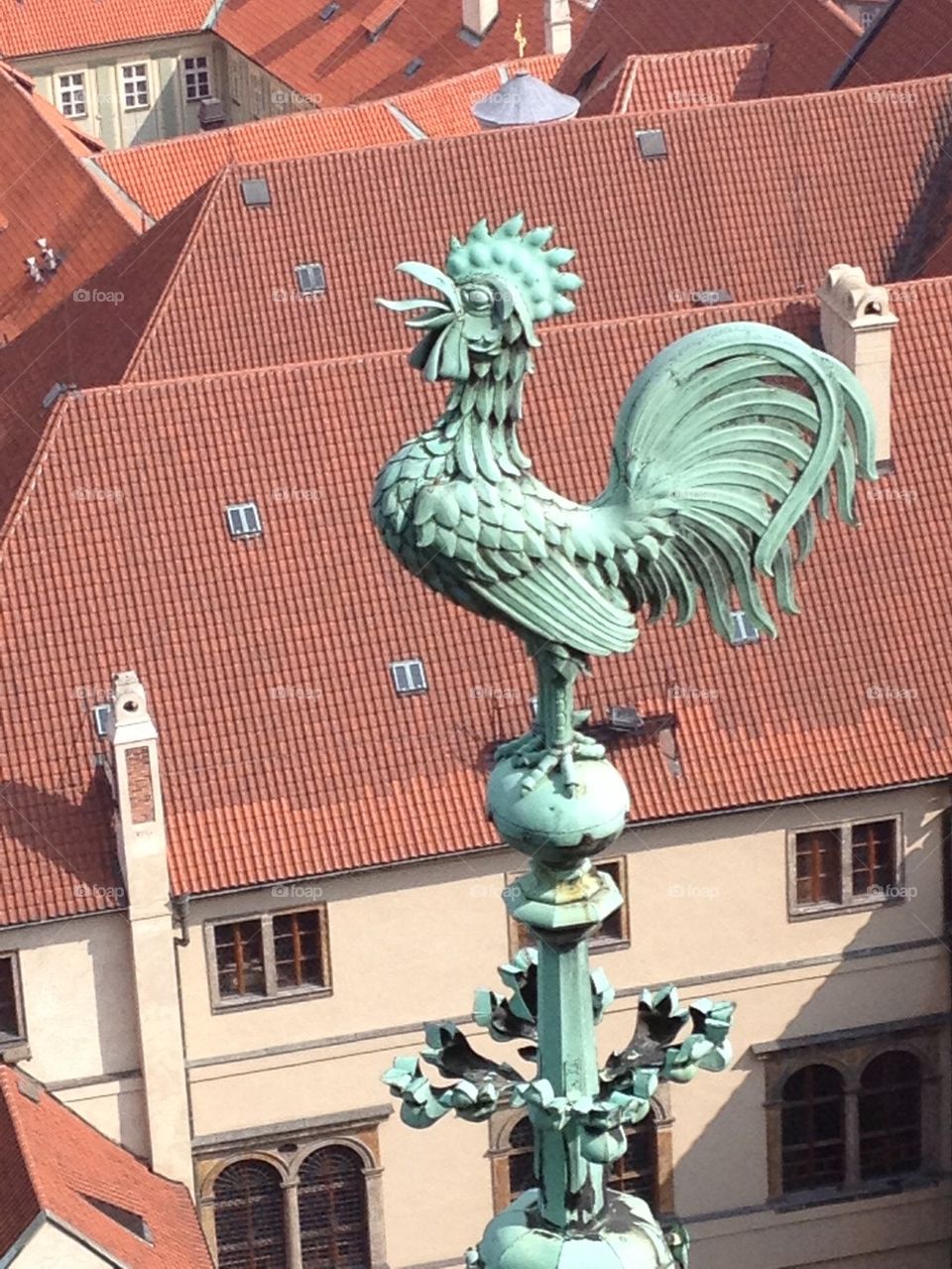 Prague Rooftop View