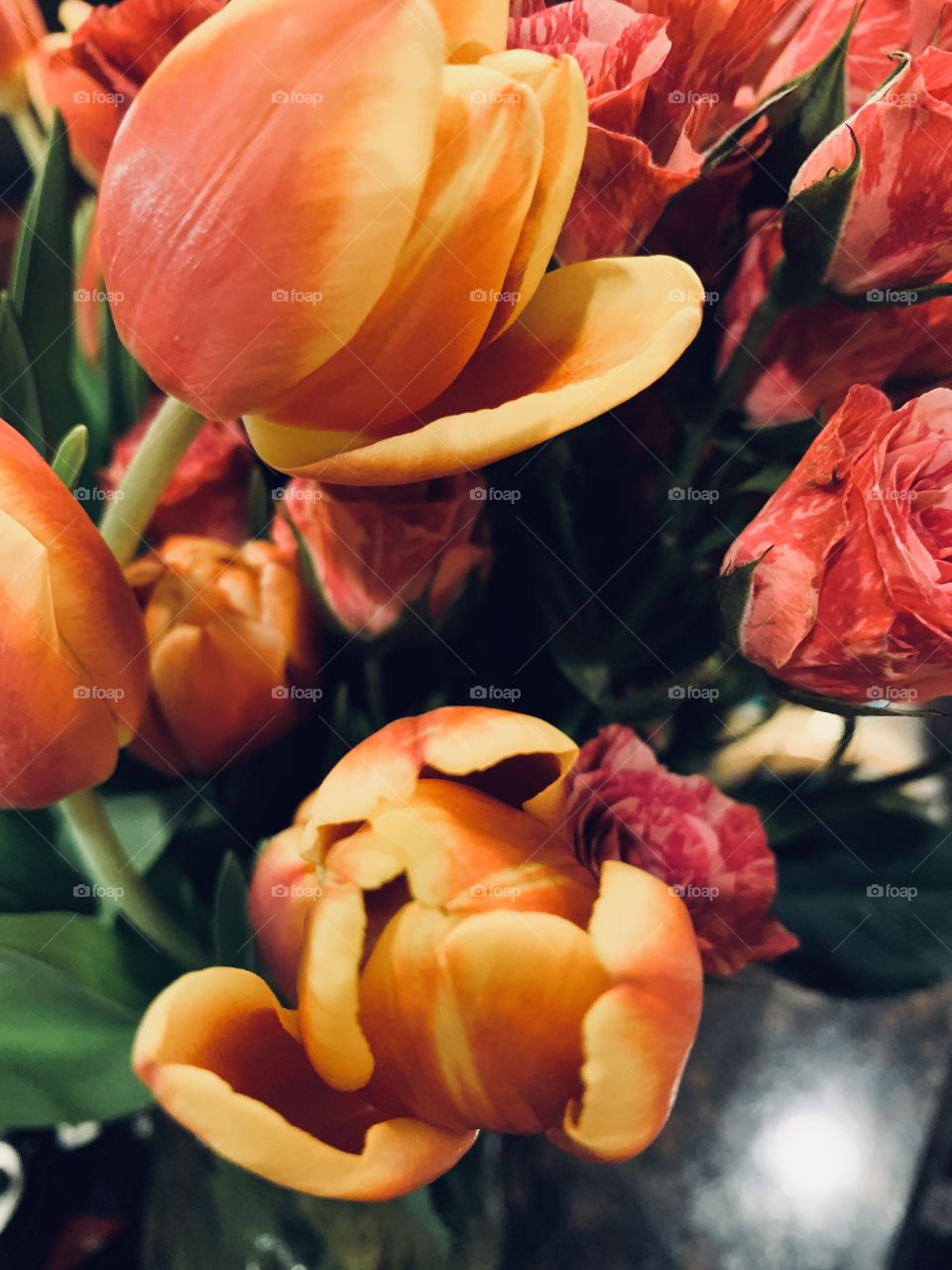 Beautiful tulip flowers in bloom 