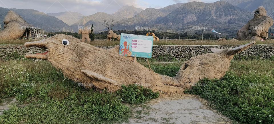 Straw dolphins in the park