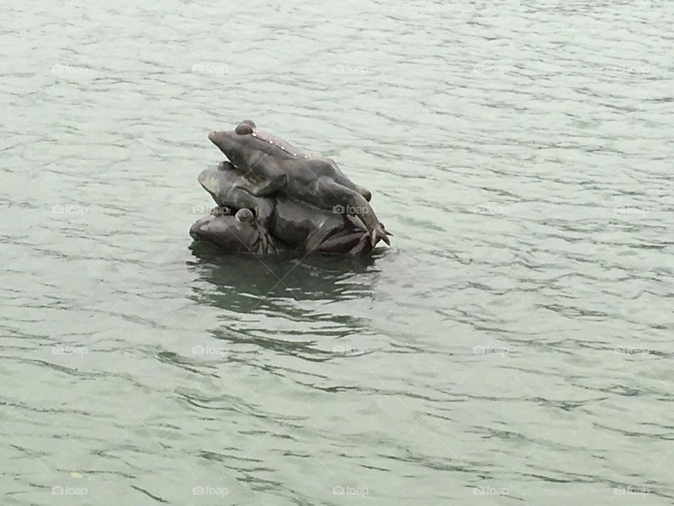 Frogs statue in the lake