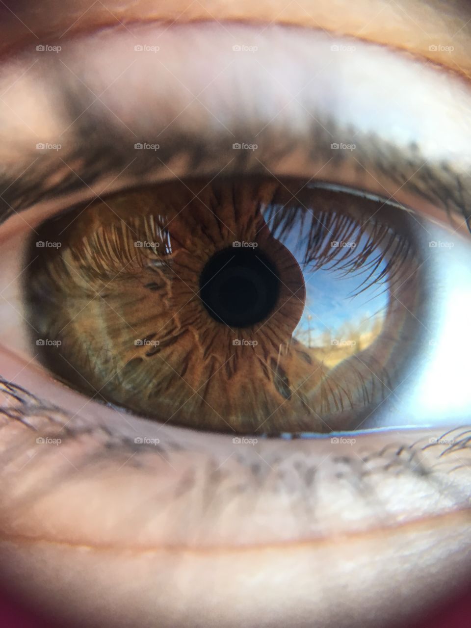 Macro shot of human eye