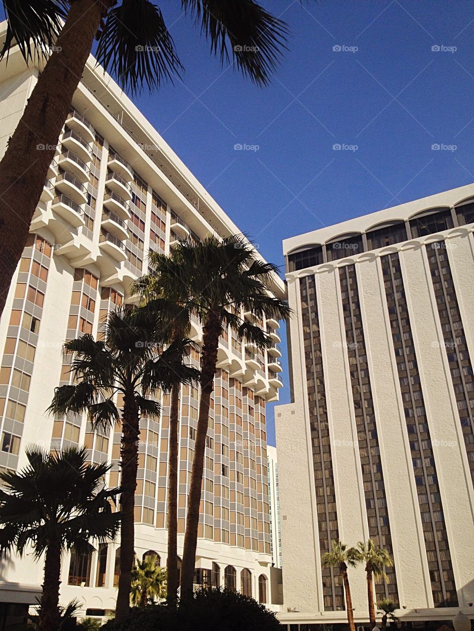 Vegas hotel courtyard 
