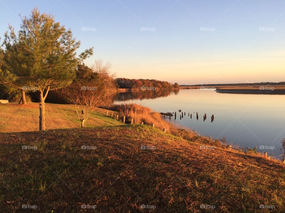 No Person, Water, Landscape, Tree, Sunset