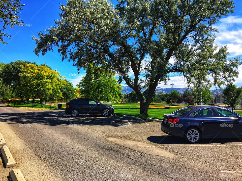 Beautiful summer day! 