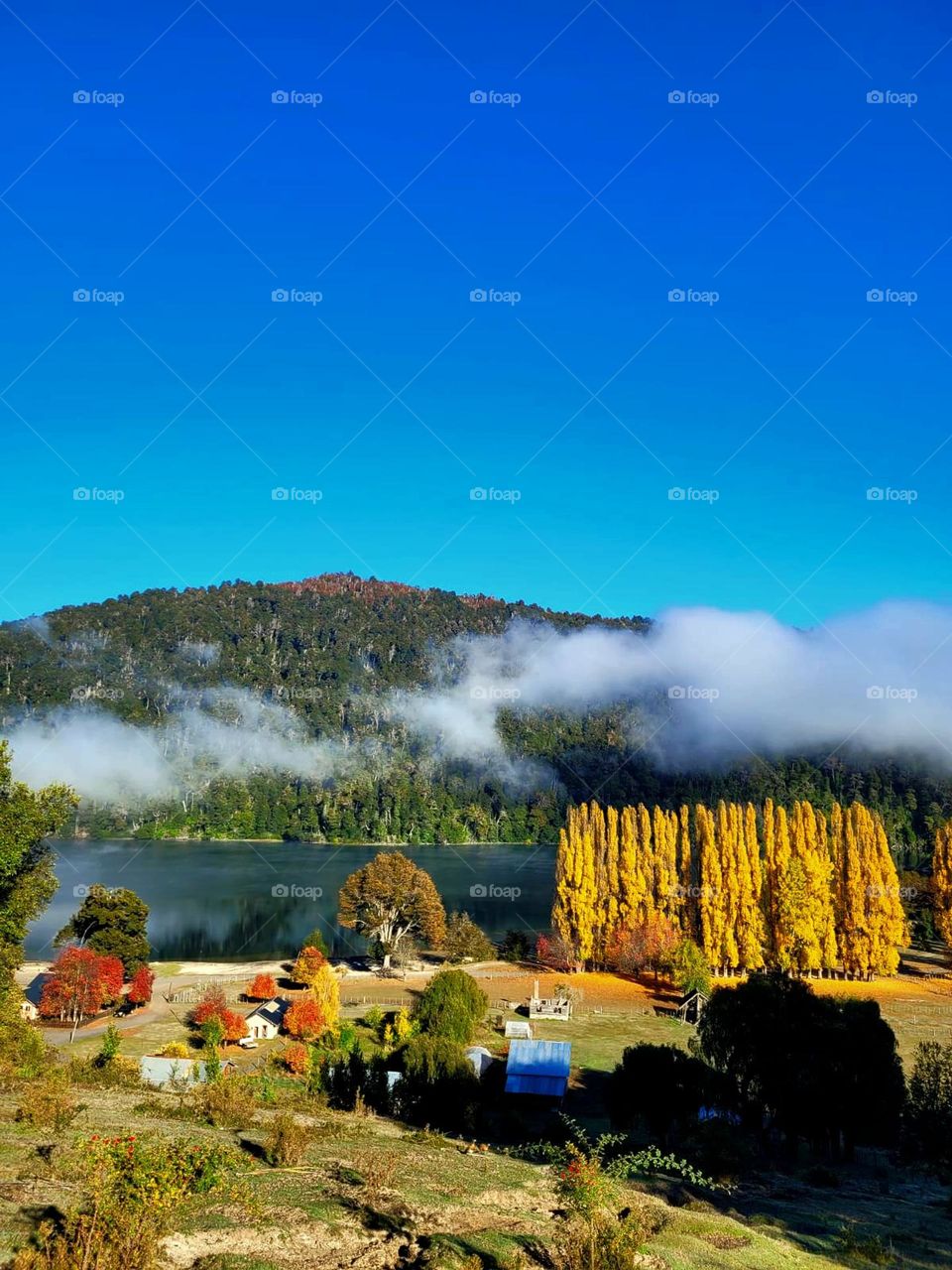 Mistura de emociones en un solo lugar