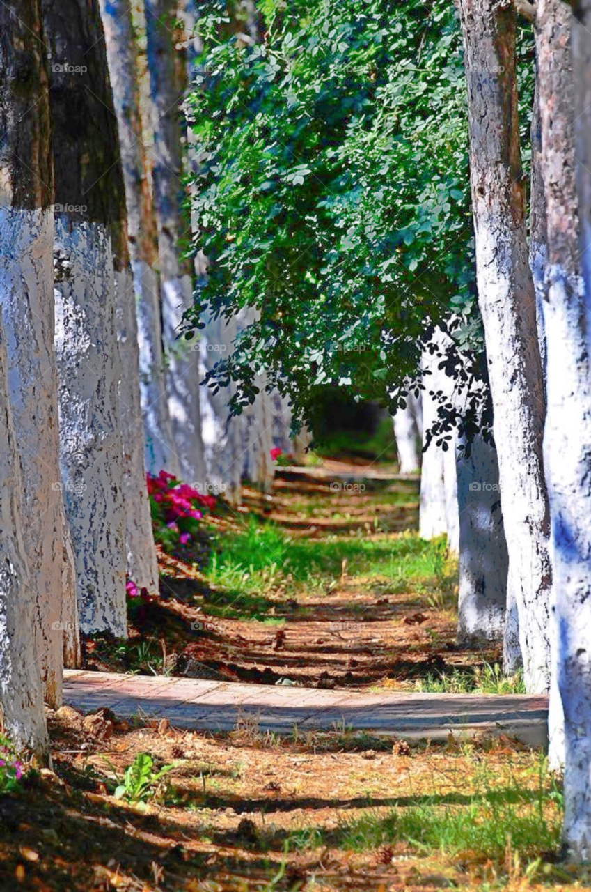 tree ride away i̇stanbul by pitikelebek