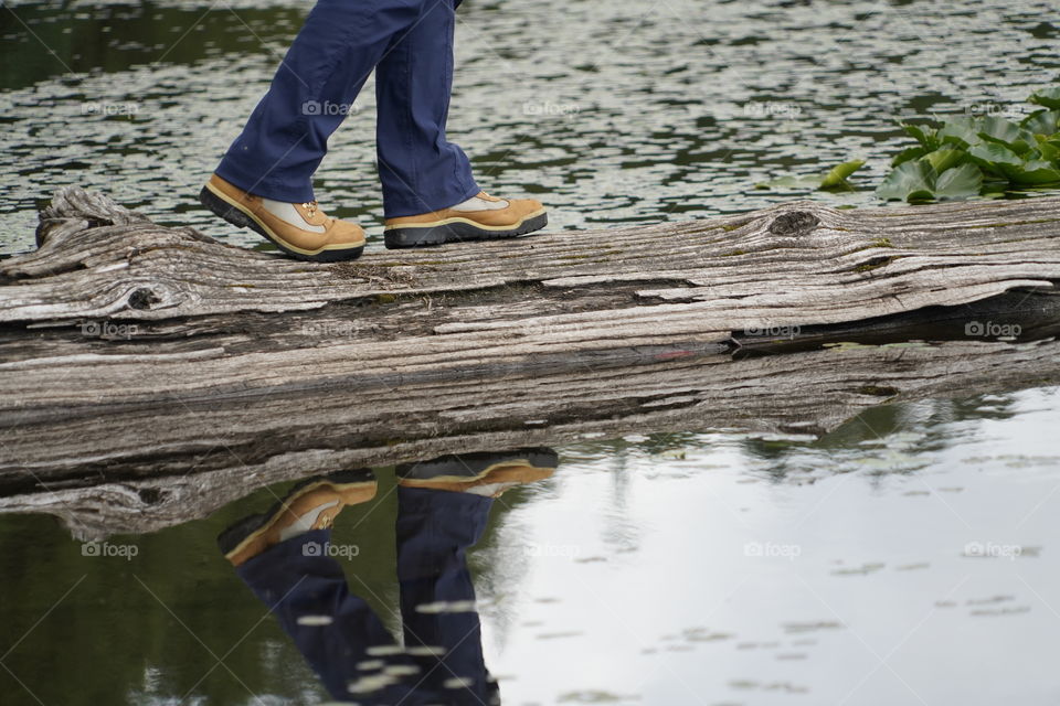 Man walking over a log in a pond with reflections 