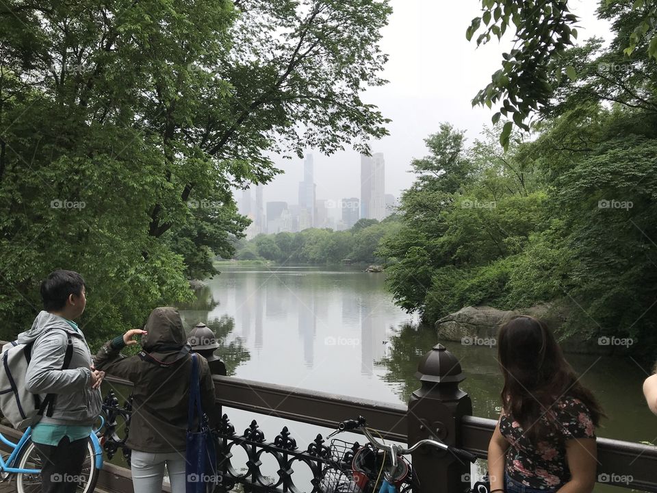 View of New York City from Central Park bridge