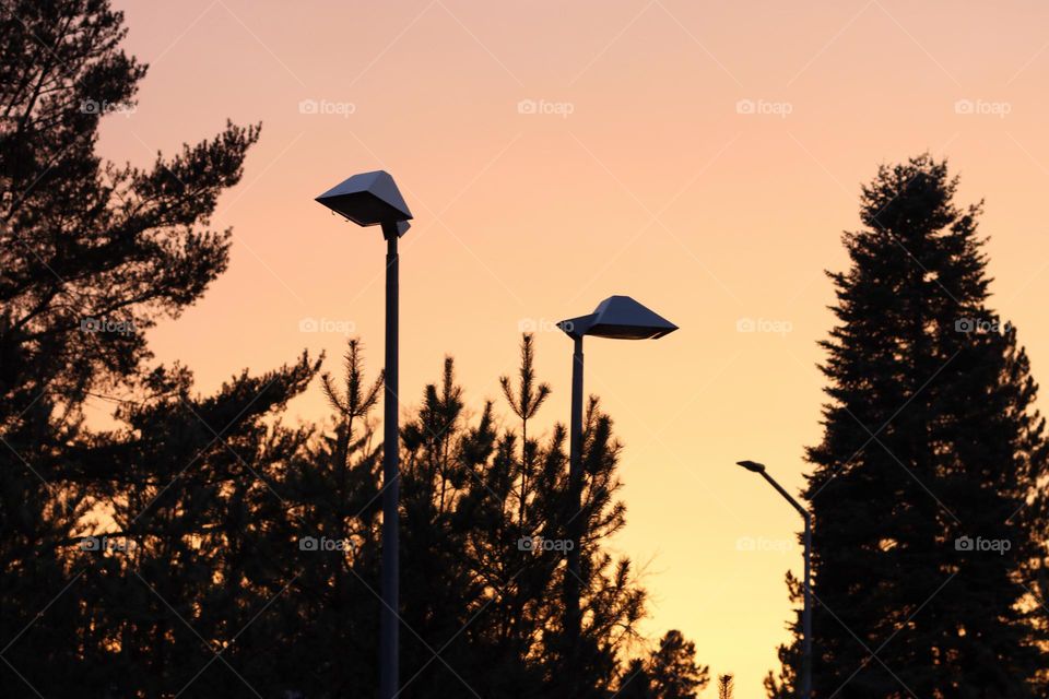 Street lamps and trees rise into the clear orange sky at sunset in a row 