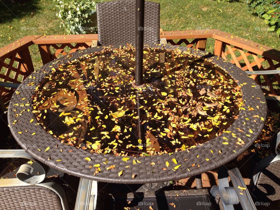 Autumn Table Setting