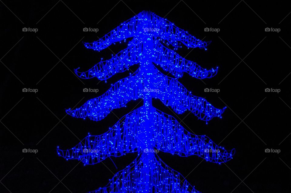 Blue Tree - Catskill Lantern Festival 2020