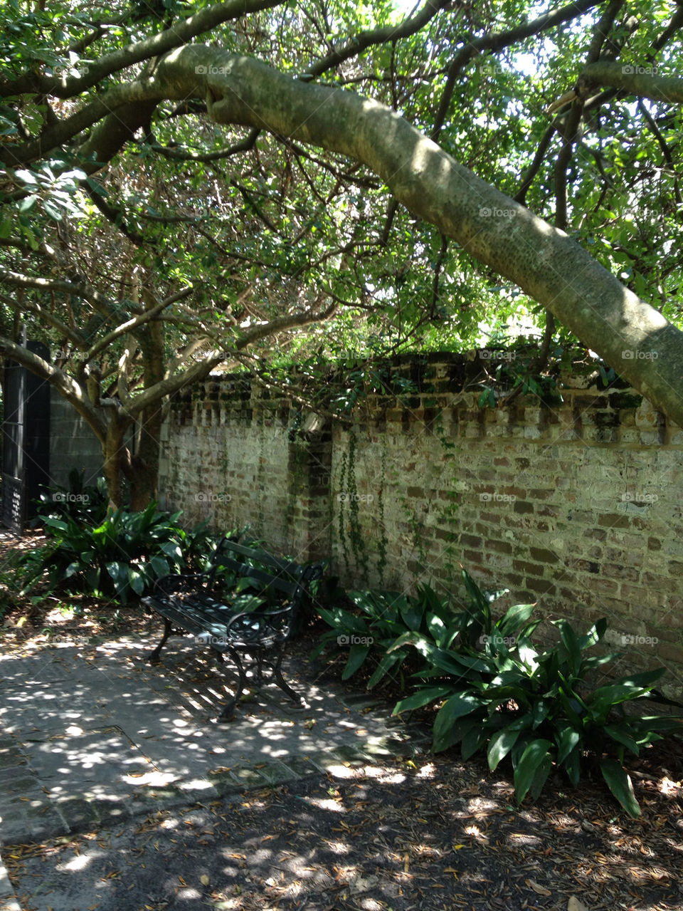 landscape garden fence tree by refocusphoto