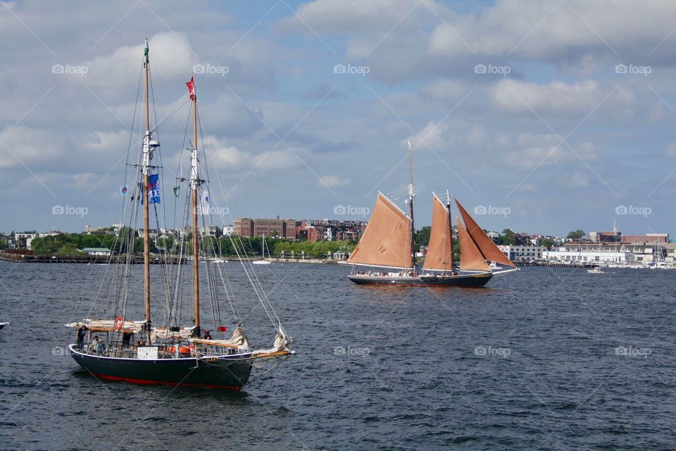 Sailboats on Boston Harbor .
