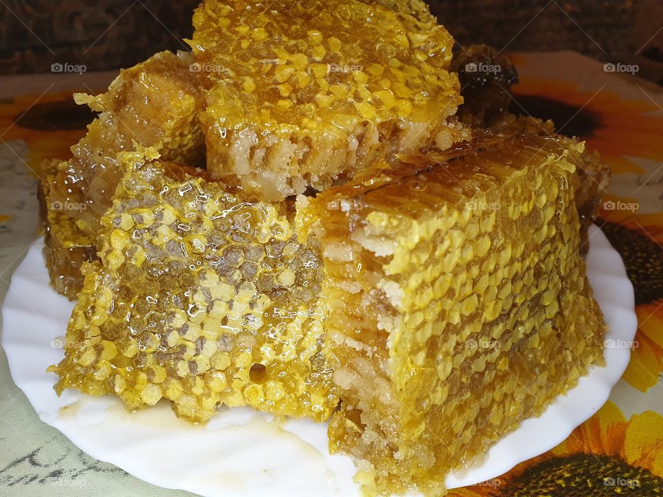 honeycomb filled with honey