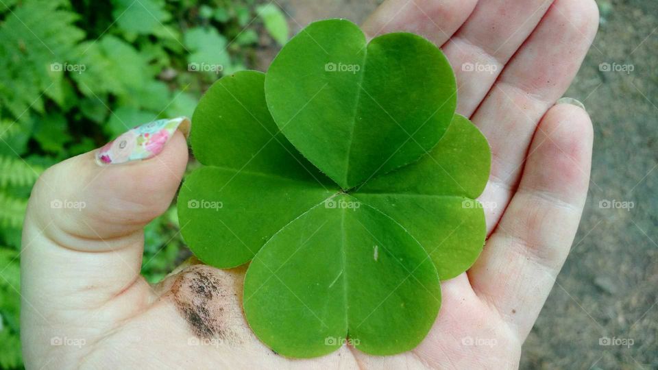 four leaf clover dirty hand