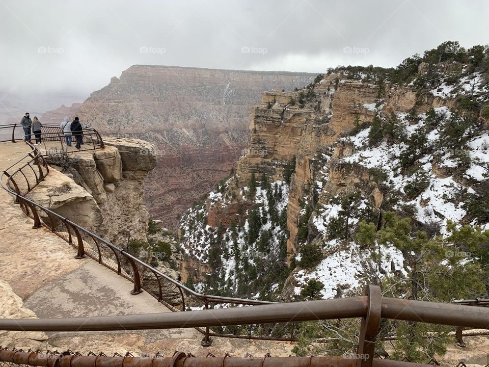 The Grand Canyon covered in fog and white fluffy snow. The South Rim is lined with beautiful green trees.