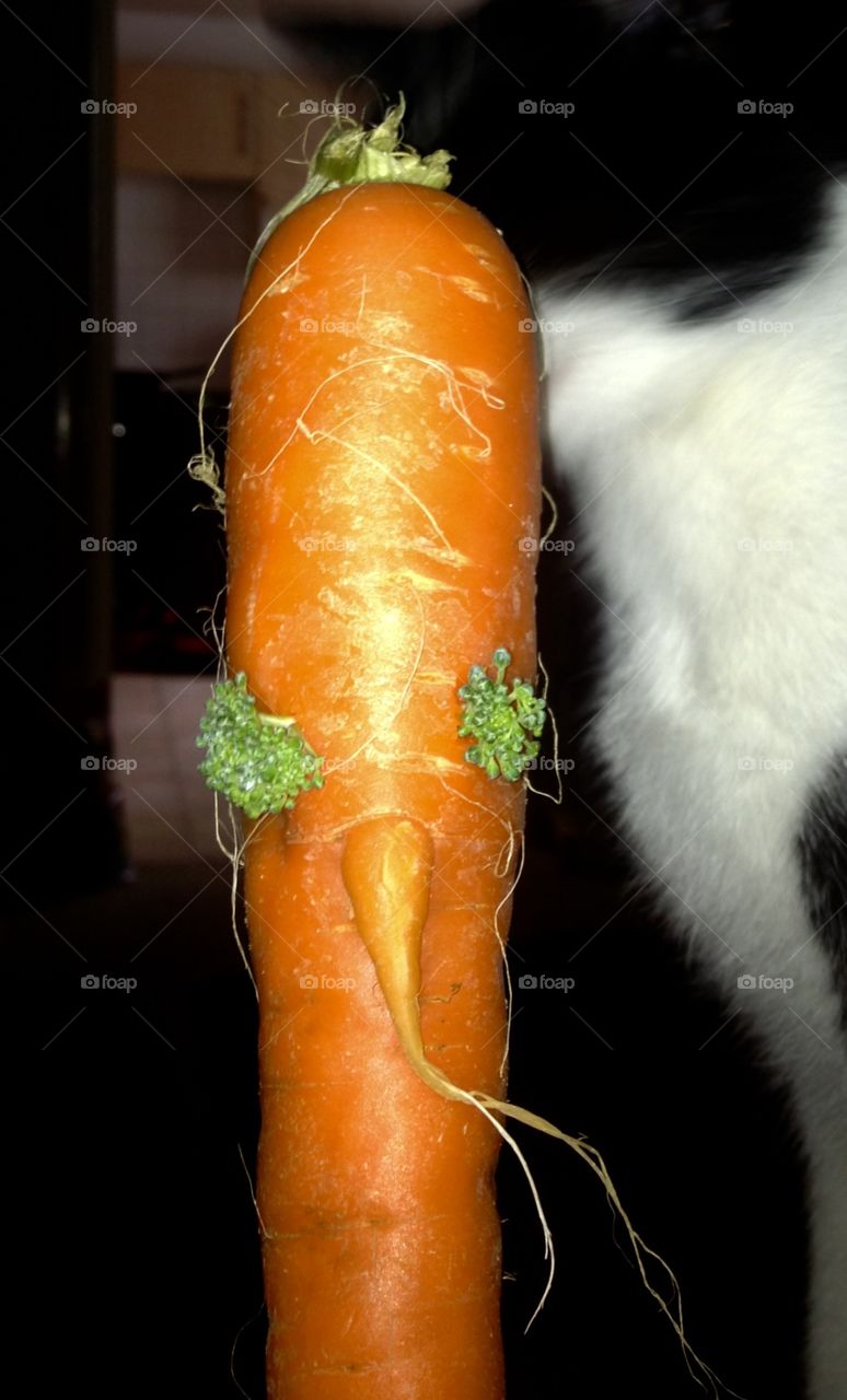 Humorous carrot- odd vegetable 