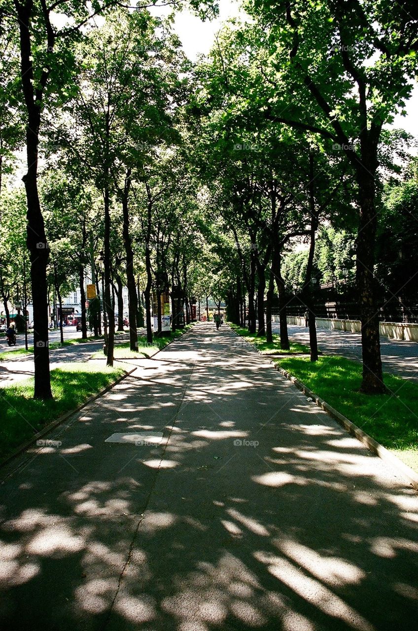 Sidewalk, Vienna, Austria