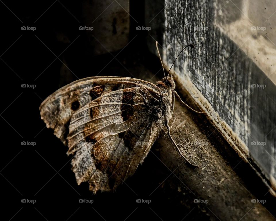 Is there a exit from life ?