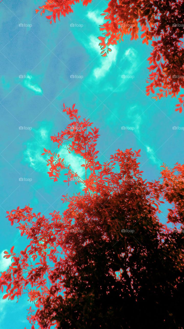 Landscape with beautiful tree in daylight