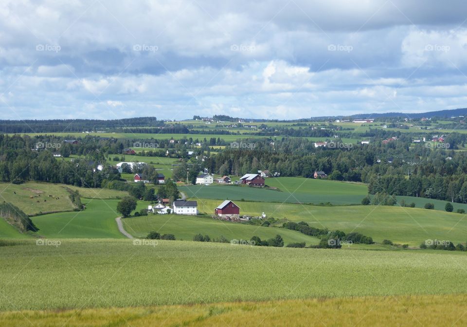 Norwegian countryside