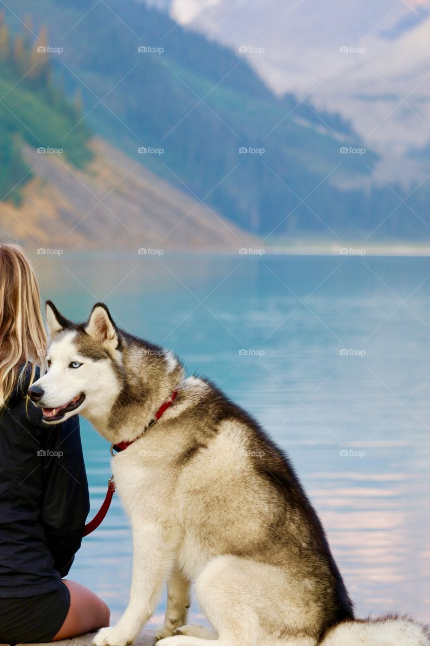 A day at the lake with a best friend. Blonde woman sitting on dock of beautiful Lake Louise in the Canadian Rockies with her blue eyed husky dog 