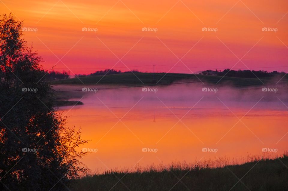 Prince Albert, SK, CA.  Orange sunrise, purple mist, silhouetted willow