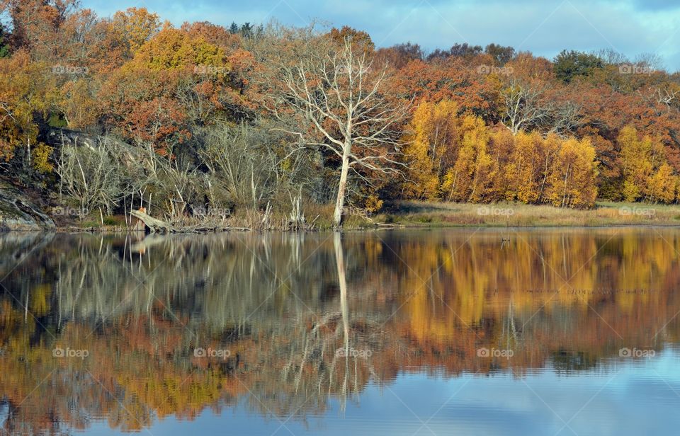 Reflections in Kvalmsö Ronneby Sweden