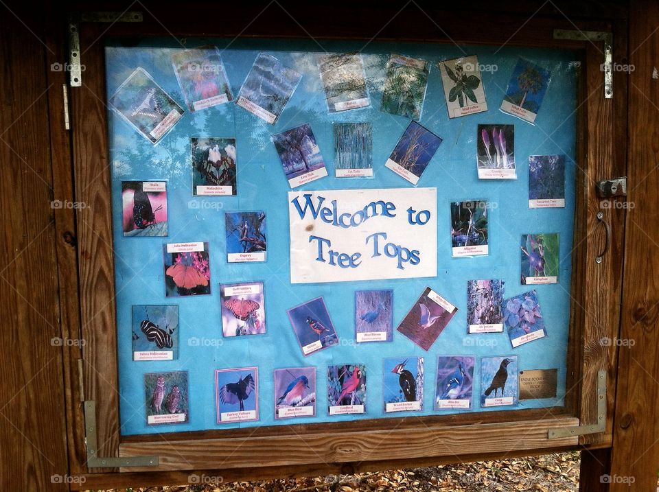Welcome to Tree Tops Display Sign