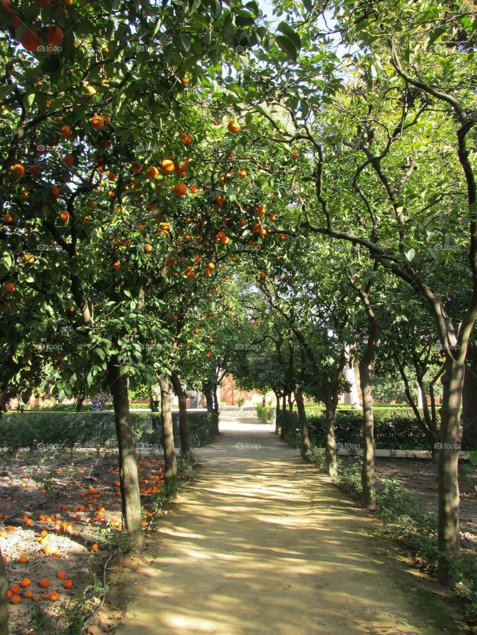 Pathway