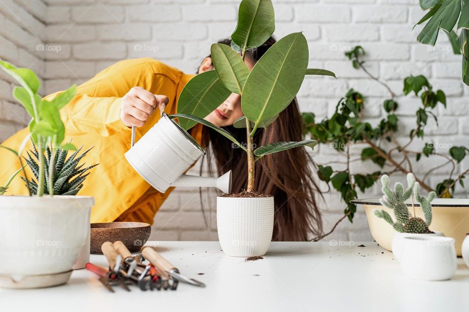 woman planting plant