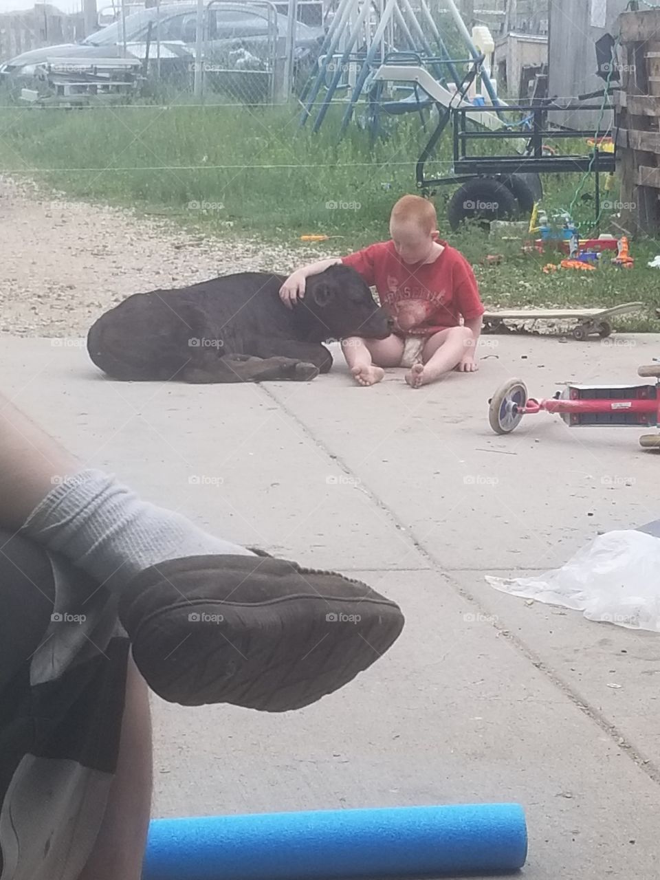 my son and his new buddy