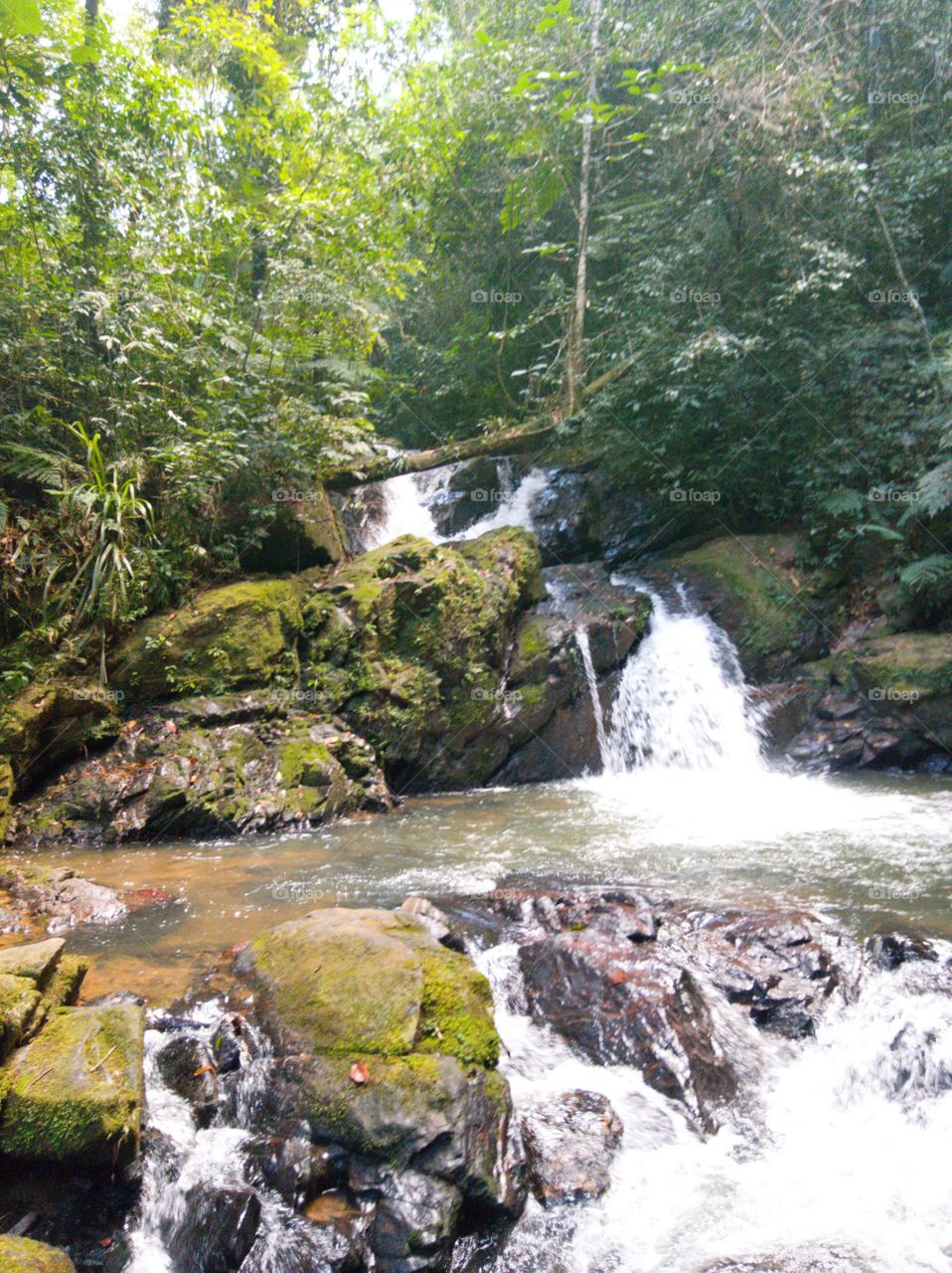 cachoeira