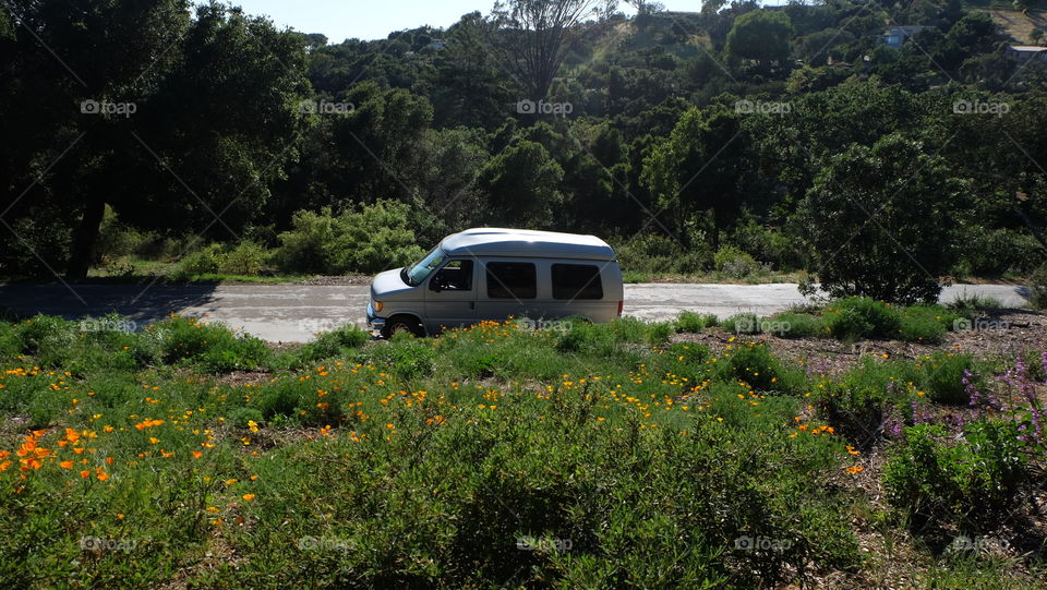 Summer vacation van in California