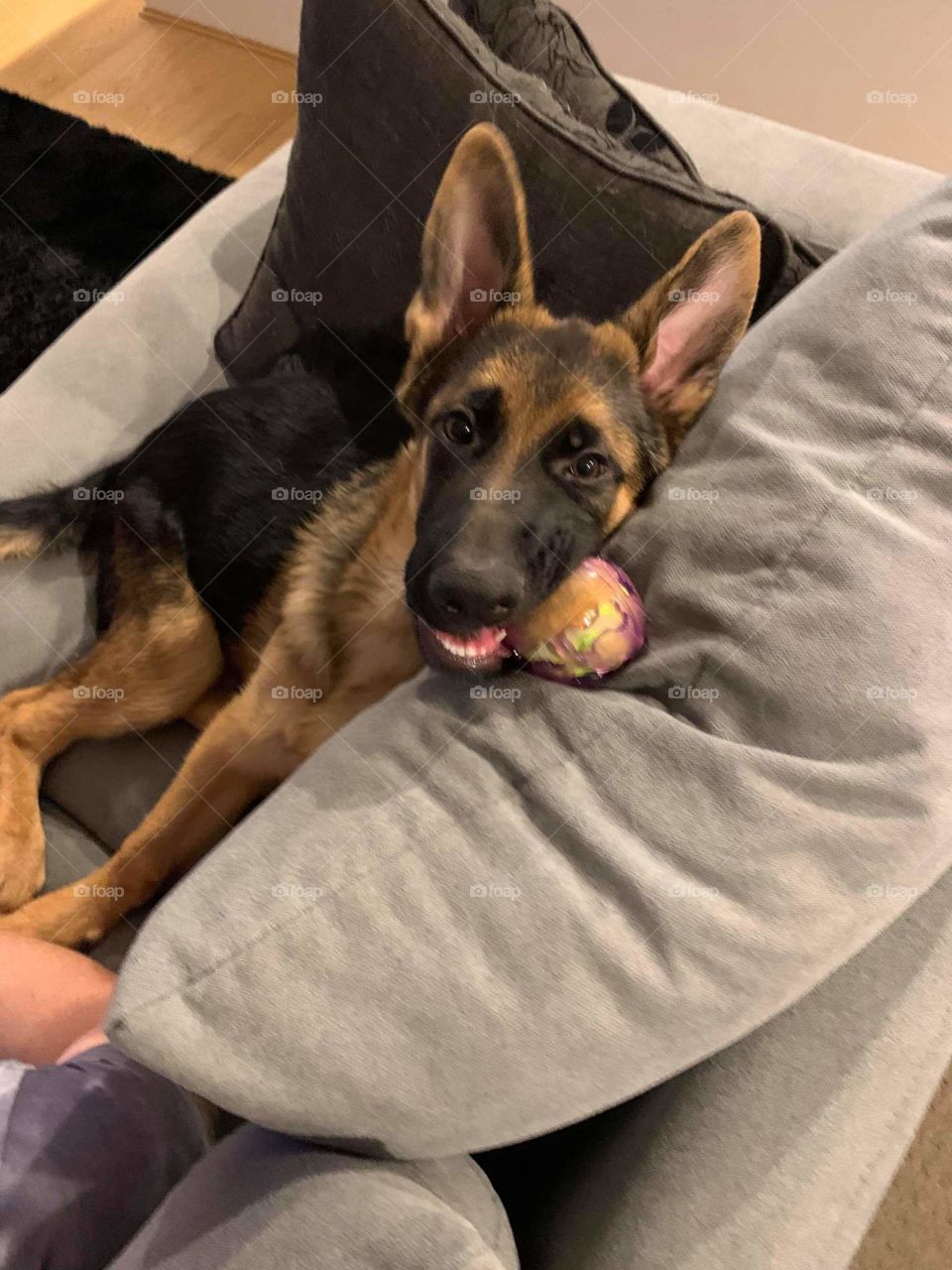 Me soooo cute, the ball so much fun to play with.. thanks dad!