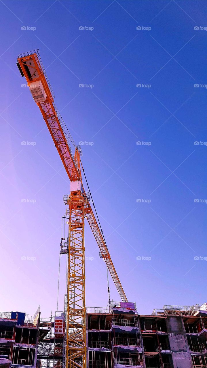 crane