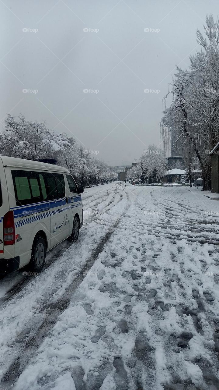 Srttuniversity-Tehran