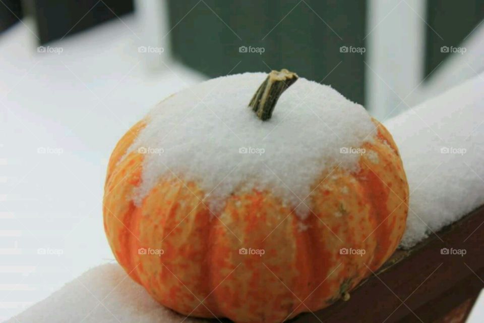 The Frost Is On The Pumpkin