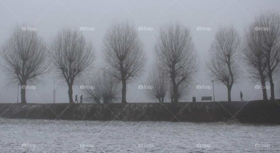 Foggy winter, Malmö, Sweden.