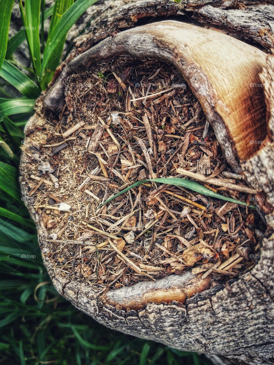 From up to above feet legs mountains hills field nature view eco focus day part sun sunny travel Light reys trip form plant part shades shape beauty greens outdoor freedom happy happiness bridge green wooden