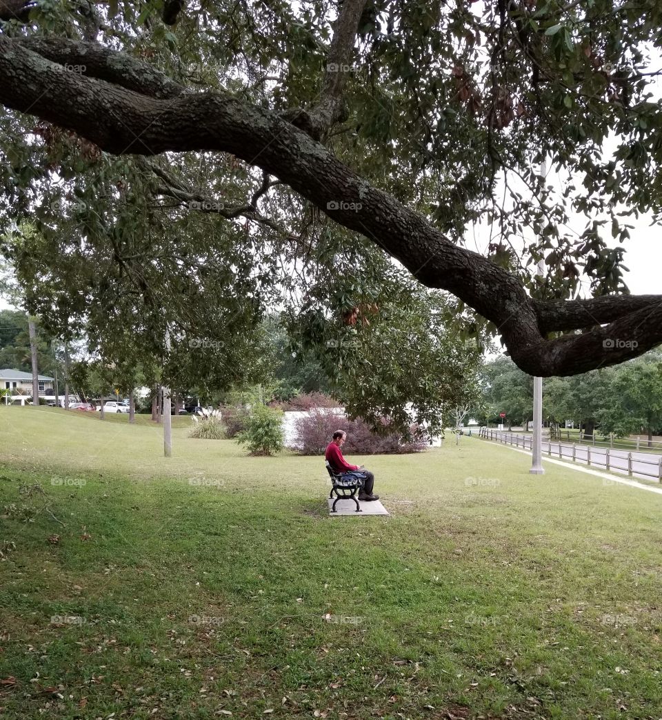 Reading under the tree