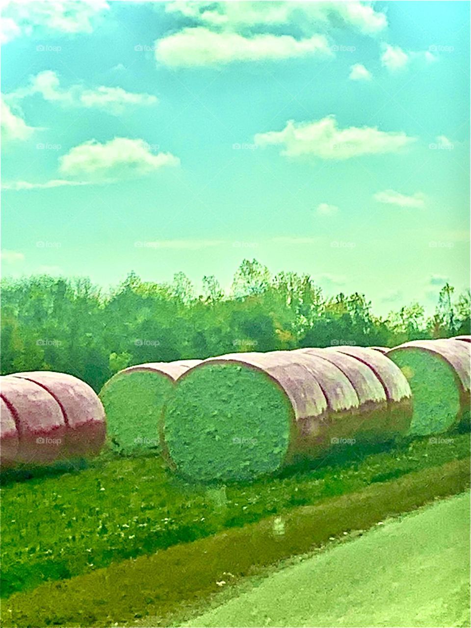 Bales of cotton 