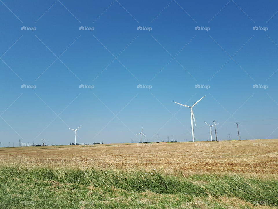 Windmills at the field