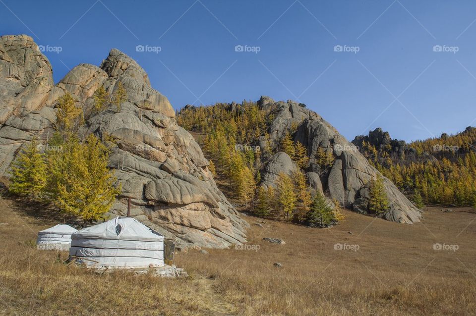 Mongolian yurt