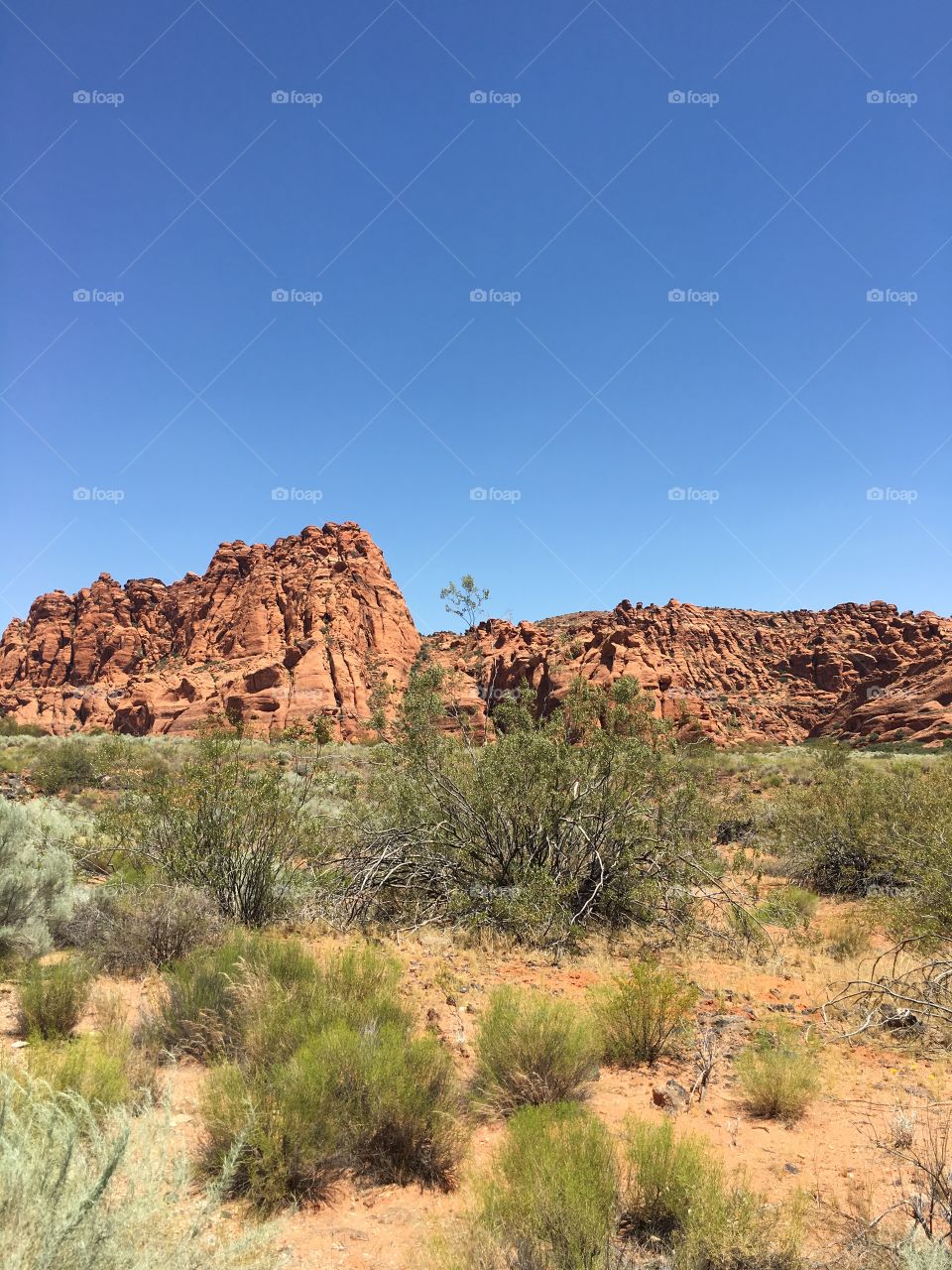 Snow Canyon Panoramic 