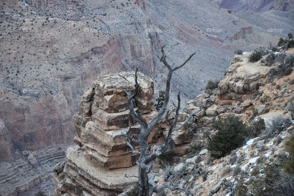 Cliff at the Grand Canyon