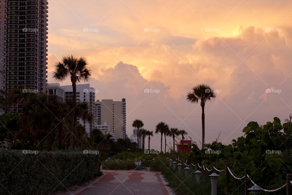 Miami Sunset