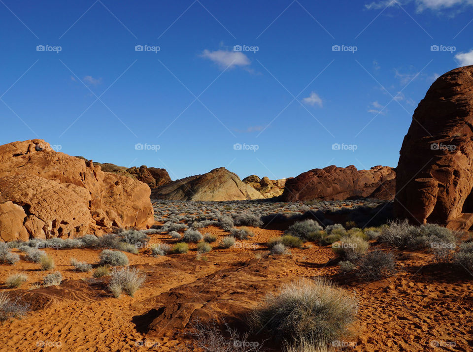 Scenic view of landscape